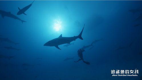 鲨鱼女孩,深海奇遇记