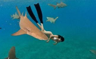 鲨鱼女孩,深海奇遇记