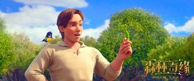 森林奇缘,探寻神秘森林的奇幻冒险之旅