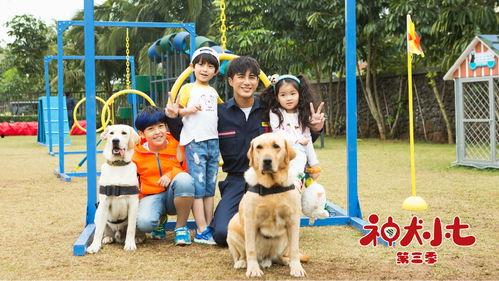 神犬小七 第一季,忠诚守护,勇闯天涯